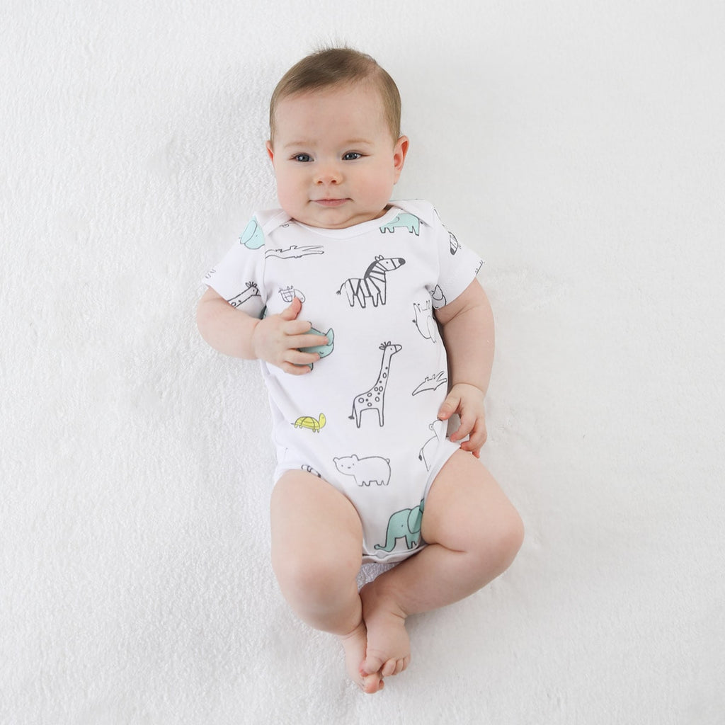 Owli Bebek Body 3'lü Set Zoo Zoo