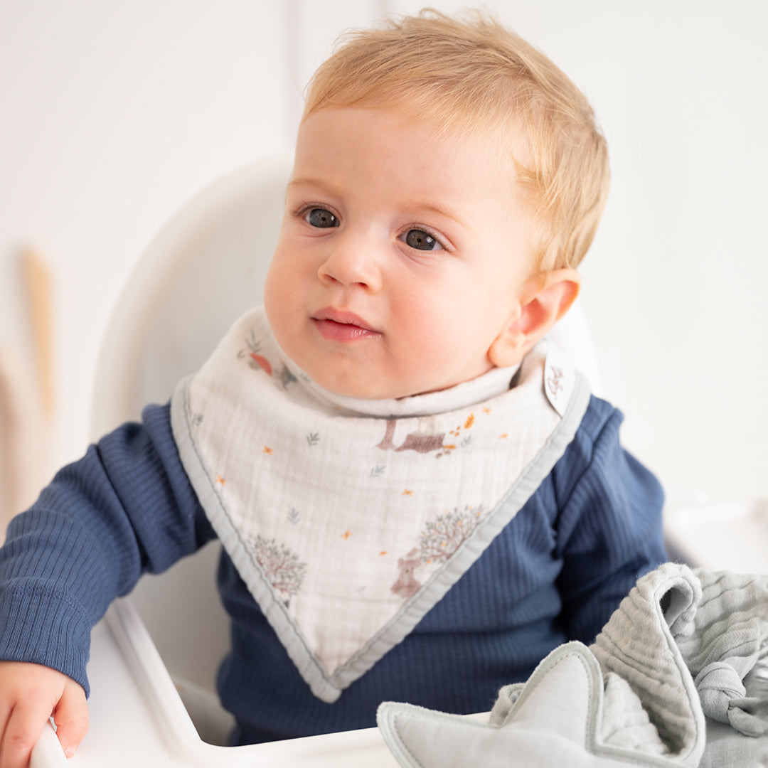 Owli 2 Kat Müslin Havlu Bandana Önlük 2'li Set