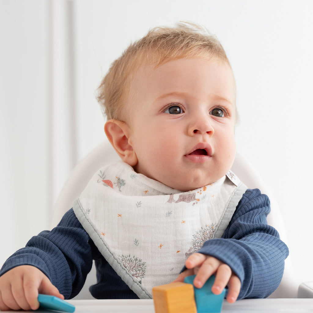 Owli 2 Kat Müslin Havlu Bandana Önlük 2'li Set