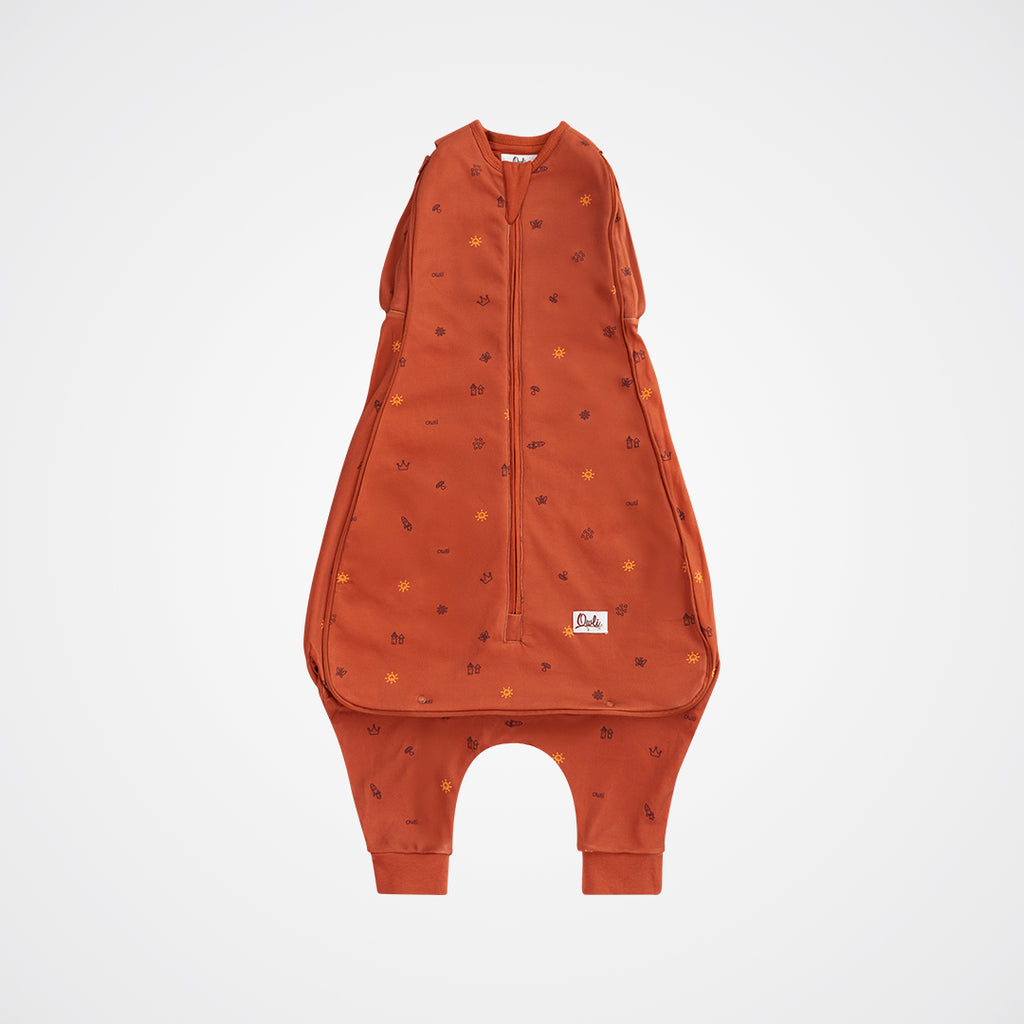 Owli Uyku Gurusu 1.5 Tog Charm